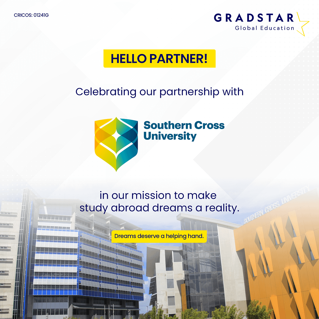 freelance graphic web designer