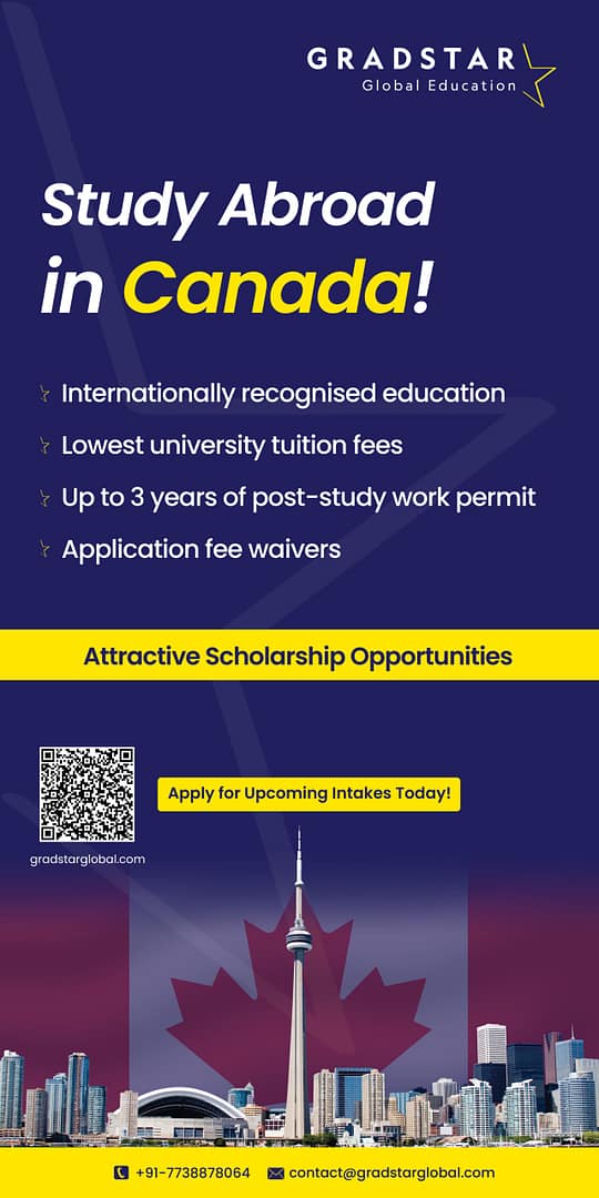 freelance graphic web designer