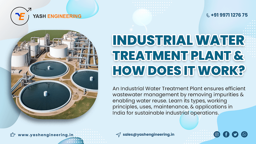 freelance graphic web designer