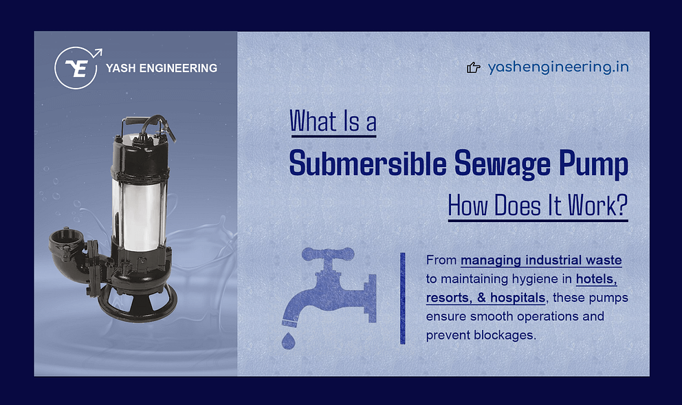 freelance graphic web designer