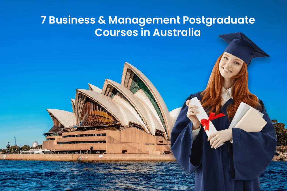 Study Abroad Blog Banner graphic designer