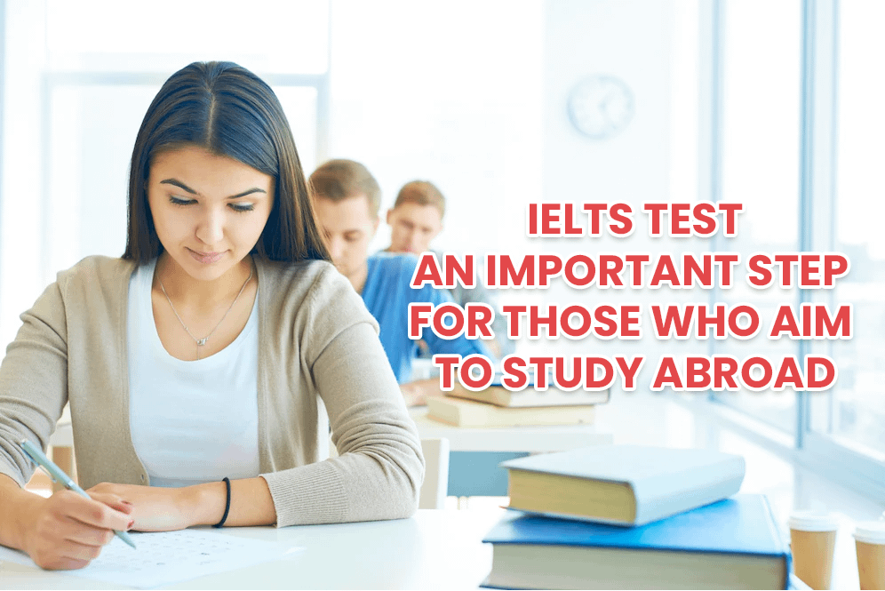 freelance graphic web designer