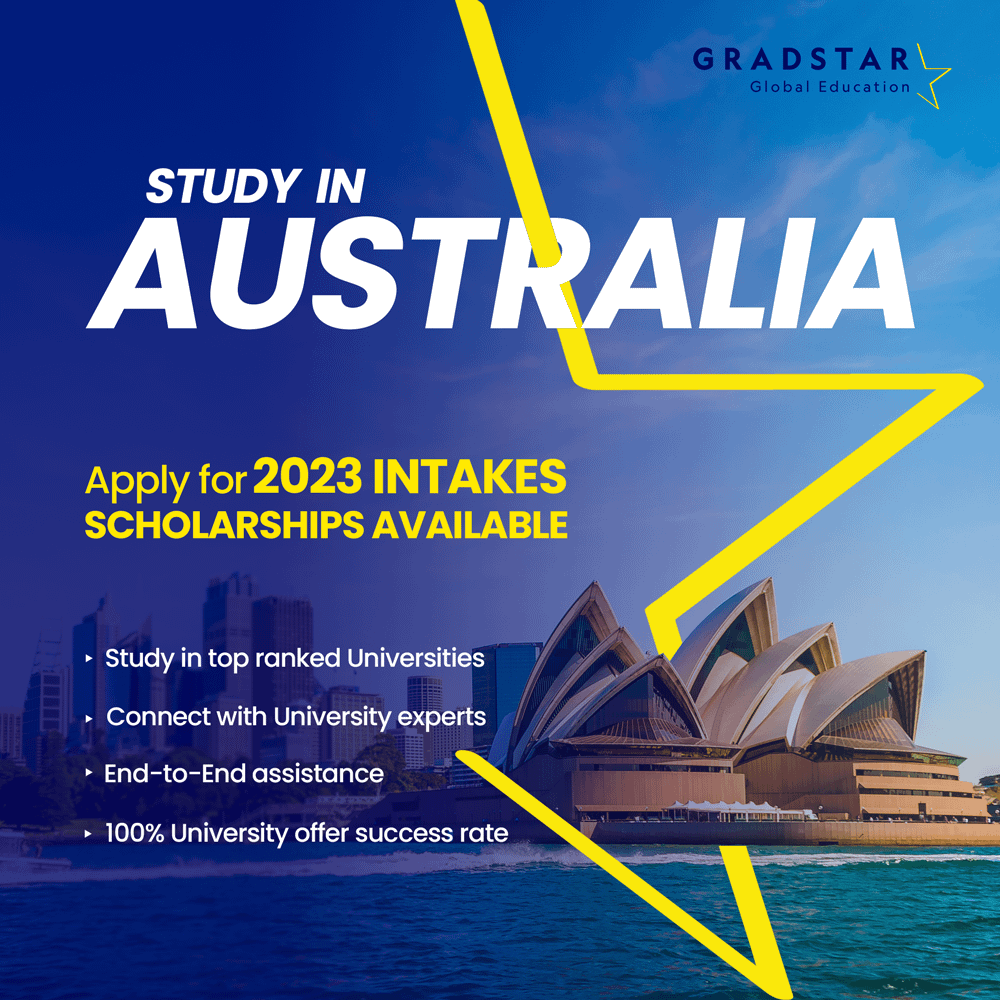 freelance graphic web designer