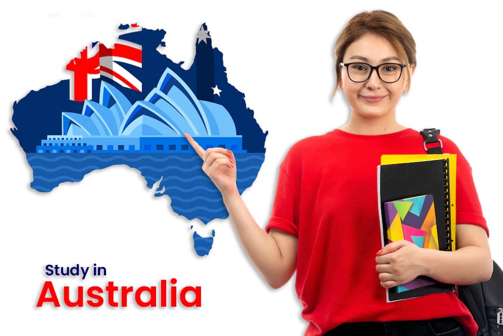 freelance graphic web designer