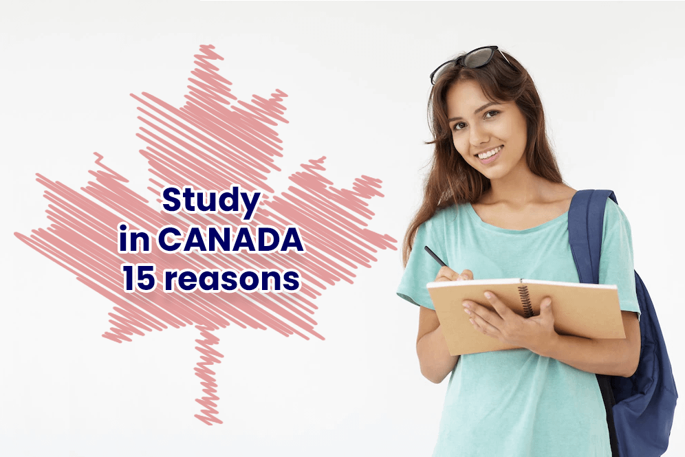 freelance graphic web designer