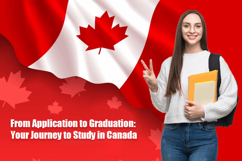 freelance graphic web designer