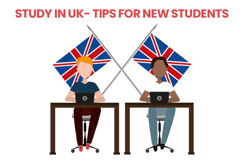 freelance graphic web designer