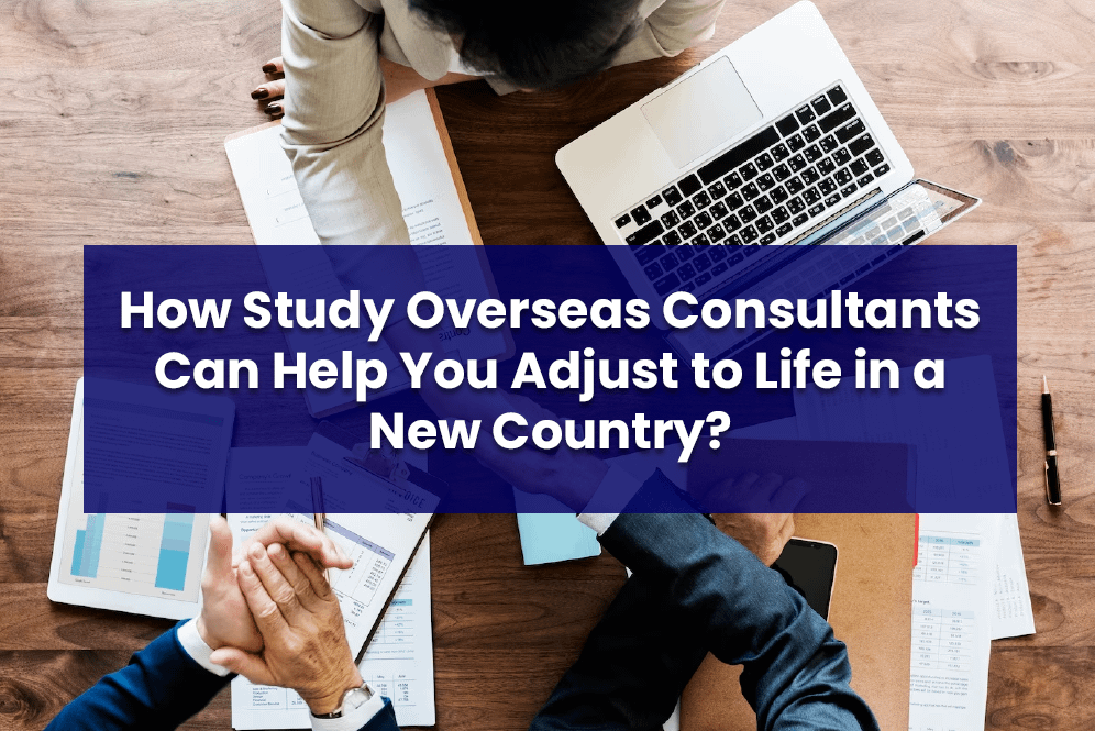 freelance graphic web designer