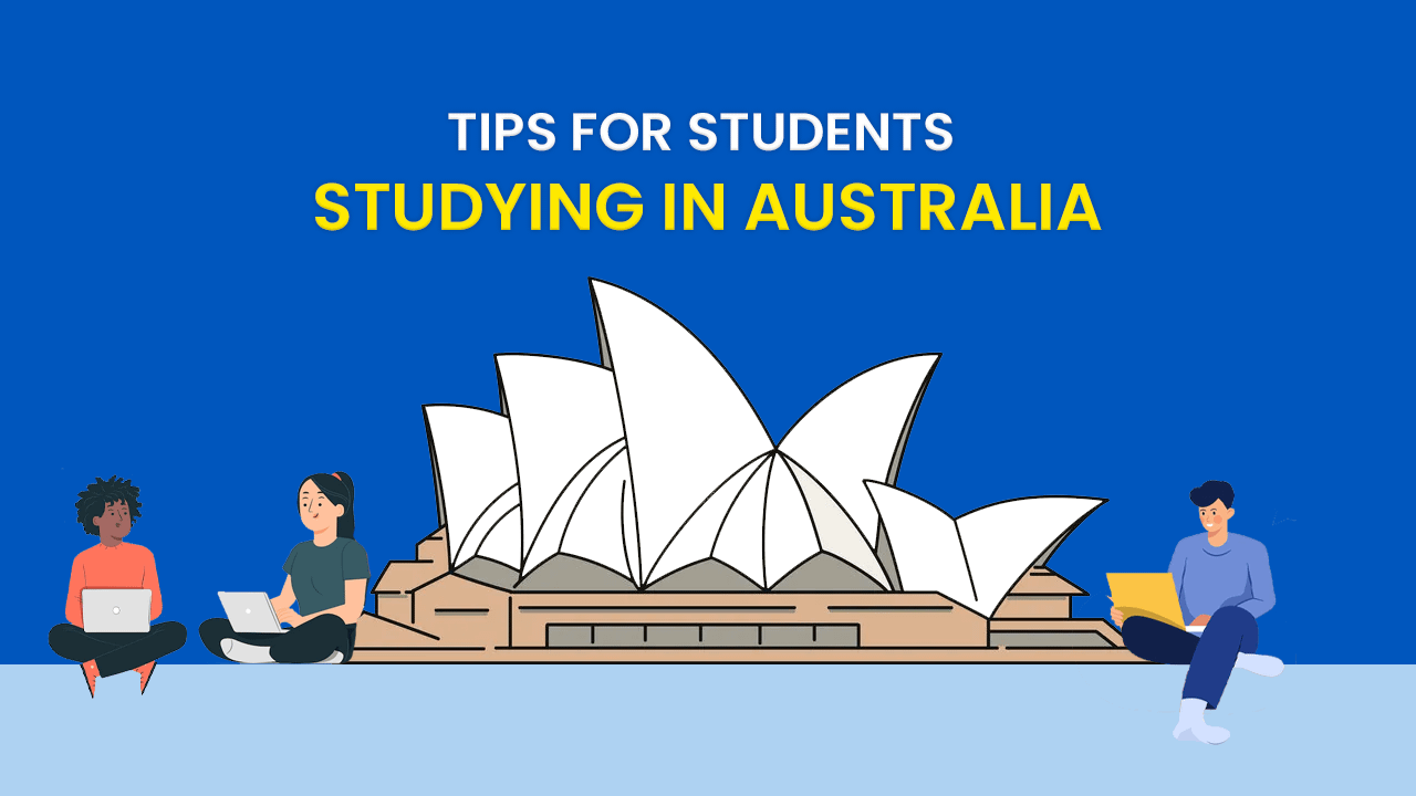 freelance graphic web designer